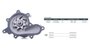 Imagen de BOMBA DE AGUA  NISSAN FRONTIER 2.5 DCI/TCI 16V 08-16